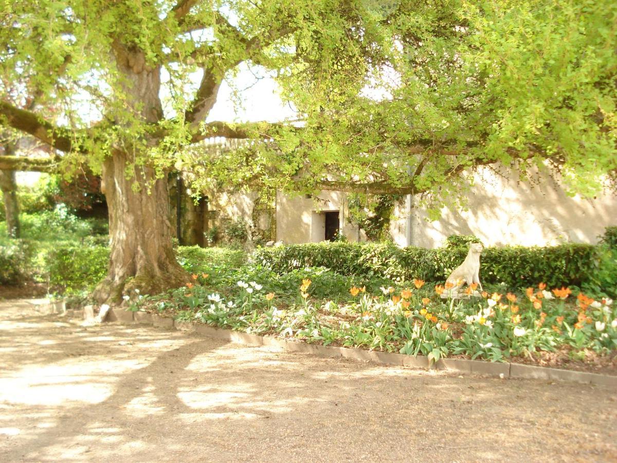 Domaine De Planchoury Bed & Breakfast Saint-Michel-sur-Loire Exterior photo
